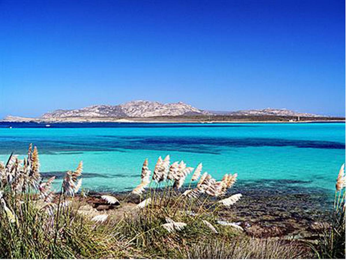 Mirti 13E Βίλα Stintino Εξωτερικό φωτογραφία